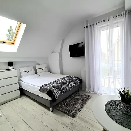 Goscinne Solaris Проживание в семье