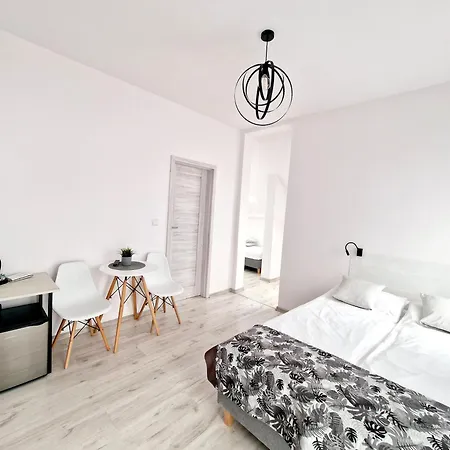 Goscinne Solaris Проживание в семье *