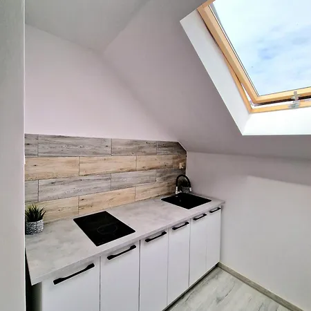 Goscinne Solaris Проживание в семье Дзивнув